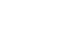 Media Partner