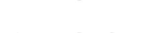Media Partner