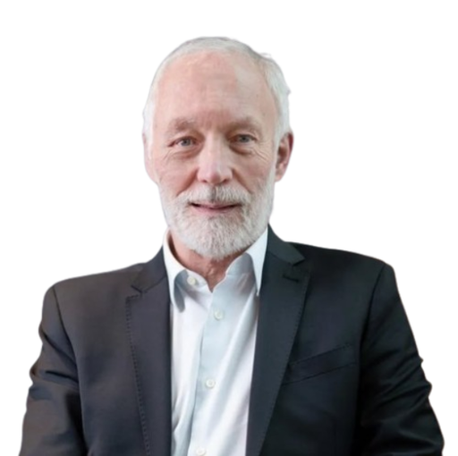 Professor Pat McGorry AO logo