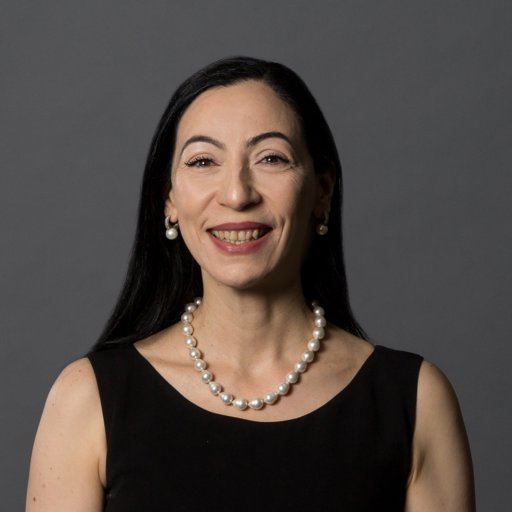 Hoda Nahlous logo