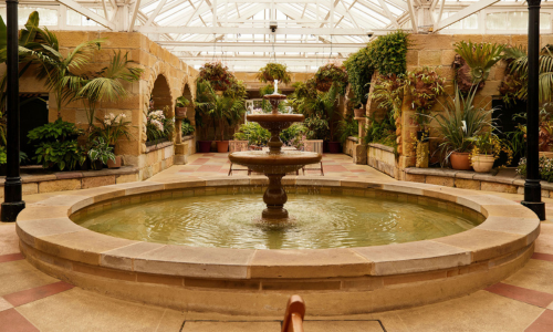 Royal Tasmanian Botanical Gardens