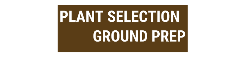 12:00pm Plant Selection & Ground Prep