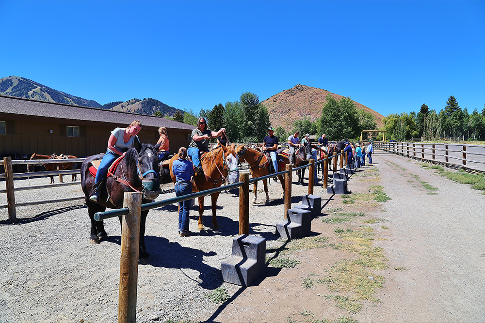 Guided Horseback Trail Ride